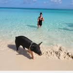 Tiffany Badger - @tiffanybadger - Instagram