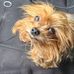 Tiffany Beatty - Facebook