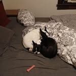 Tiffany Branson - @tiffany_branson - Instagram