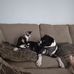 Tiffany Branson - Facebook