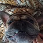 Tiffany Buzzard - @buzz59675 - Instagram