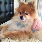 Tiffany Castro - @tiffany_castro_478298 - Instagram