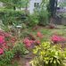 Tiffany Goodwin-Cheatham - Facebook