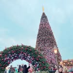 Tiffany Chui - @mchui130 - Instagram