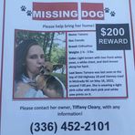 Tiffany Cleary - Facebook