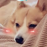 𝐓𝐎𝐅𝐅𝐄𝐄 - @tiffanycloudstar - Instagram