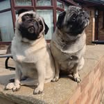 COCO & TIFFANY - @coco.and.tiffany - Instagram