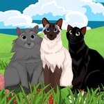 Tiffany, Coco, and Louis - @tiffanycocoandlouis - Instagram