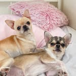 tiffany&coco - @tiffanycoco22 - Instagram