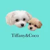 Tiffany&Coco - @tiffanyandcoco_m - TikTok