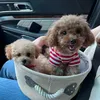 user35599344008878 - @tiffany.coco21 - TikTok