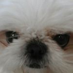 Tiffany Counts - @tiffsprout_backup - Instagram