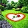 Tiffany - @tiffany.diallo1 - TikTok