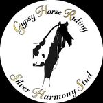 Tiffany Ding - @gypsyhorseriding - Instagram