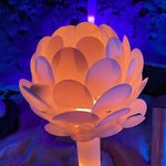 Tiffany Mastny-Dobson - @tiffdesignermama - Instagram