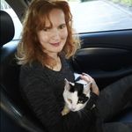 Tiffany Dodd - @rescuecatsmanchester - Instagram