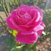 Tiffany Dodd - Facebook