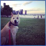 Tiffany Ebert James - @tiffanyebertjames - Instagram