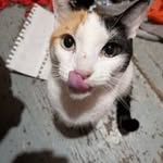 Tiffany - @tiffanybueckert - Instagram