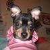 Tiffany escobar - Facebook
