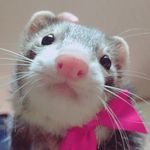 あやみ - @tiffany_fairy_love - Instagram