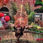 Tiffany Fields - @petaluniquedesigns - Instagram