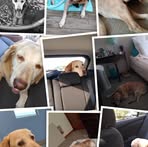Tiffany Geiger - Facebook