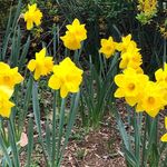 Tiffany Bullock Geist - @tab4444 - Instagram