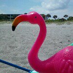 Tiffany Gorrell - @gorrellgiggles - Instagram