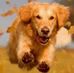 Tiffany Hackworth - Facebook