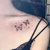 cake_girl - @tiffany.hani - TikTok