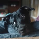 Tiffany Hedrick Cecen - @tiffy.n.h - Instagram