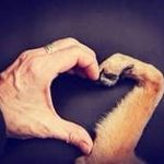 The Pampered Pooch - @tiffanyhoule82 - Instagram
