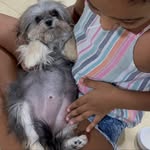 Tiffany & Jack - @tiffany_jack_azevedo - Instagram