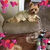 Tiffany Kearley468 - @tiffanykearley468 - TikTok