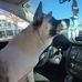 Tiffany Lynn Koller - Facebook