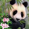 tiffanyrosekoller - @tiffanyrosekoller - TikTok