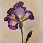 Tiffany Oberoi - @tiffanylearnspainting - Instagram