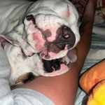 Tiffany Leech - @leech_tiffany - Instagram