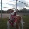 tiffanyleech1 - @tiffanyleech1 - TikTok