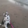 Tiffany - @tiffanymac10 - TikTok