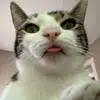 Tiffany Manns - @tiffyl2004 - TikTok