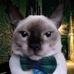 Tiffany Martz - Facebook