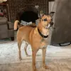 Tiffany Martz - @user5081256253668 - TikTok