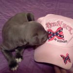 Tiffany Mcbee - @mcbeetiffany - Instagram