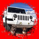 Tiffany Mcbrayer - @tiffanymcbrayer2731 - Instagram