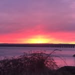 tiffany mccomb - @tiffany_mccomb2020 - Instagram
