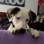 Tiffany Merrell - @m0mmabear2011 - Instagram