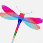 Tiffany Mongold - @gutmg16 - Instagram