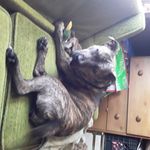 Tiffany Mowery - @mowery_tiffany - Instagram